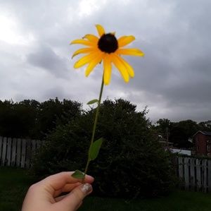 Meet your Posher, Addison